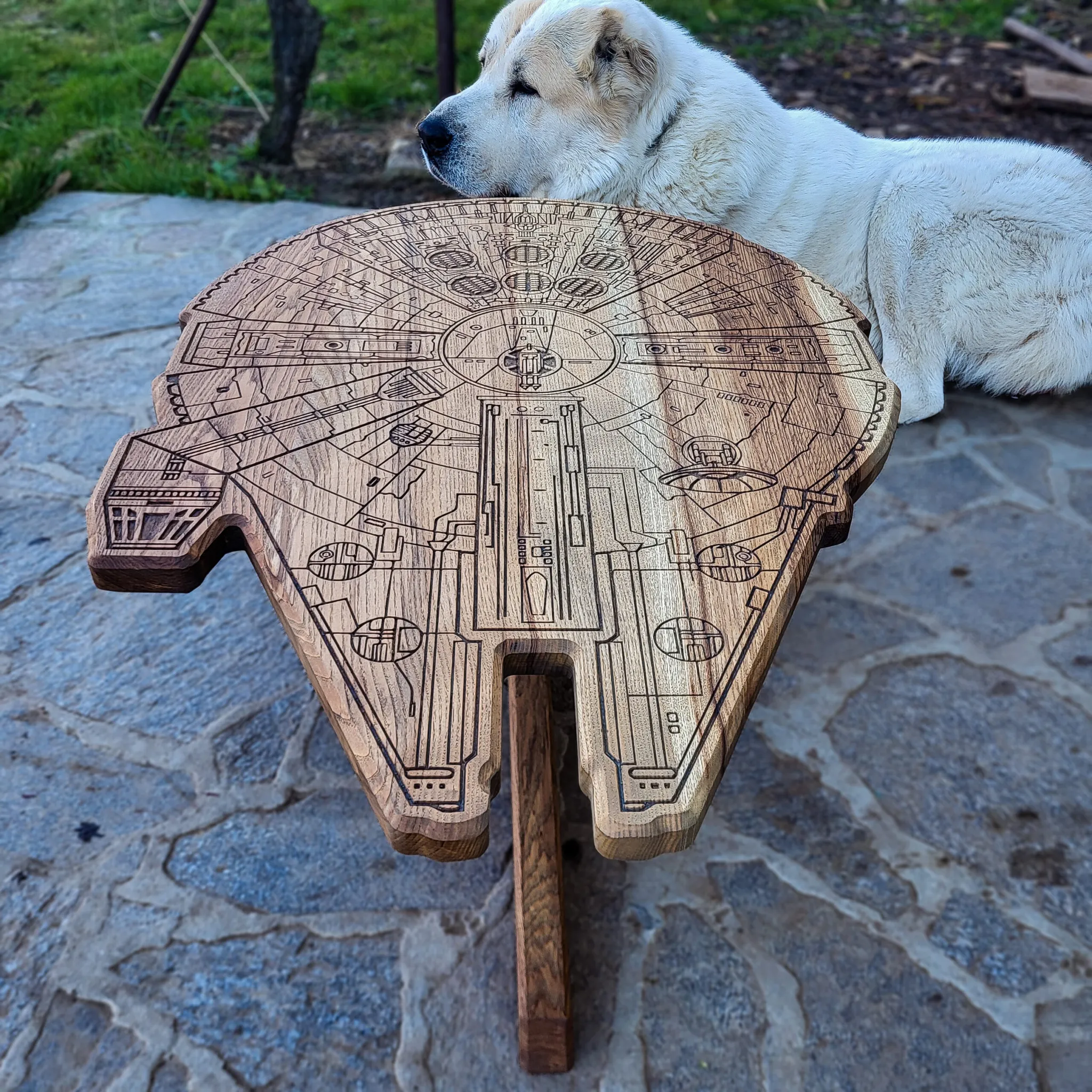 Millennium Falcon, jasen