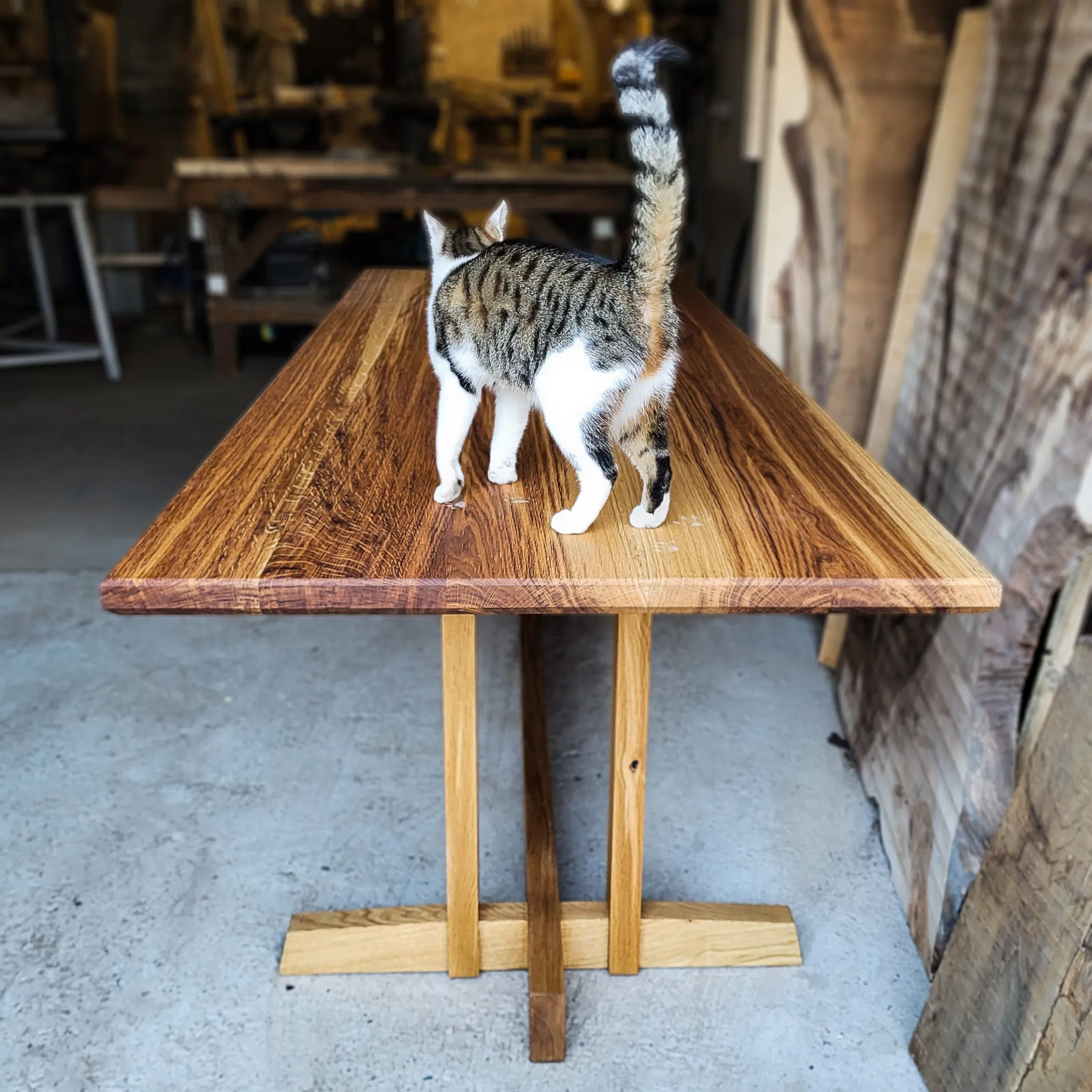 Frenčmen, rotovani hrast, 250 x 95 cm