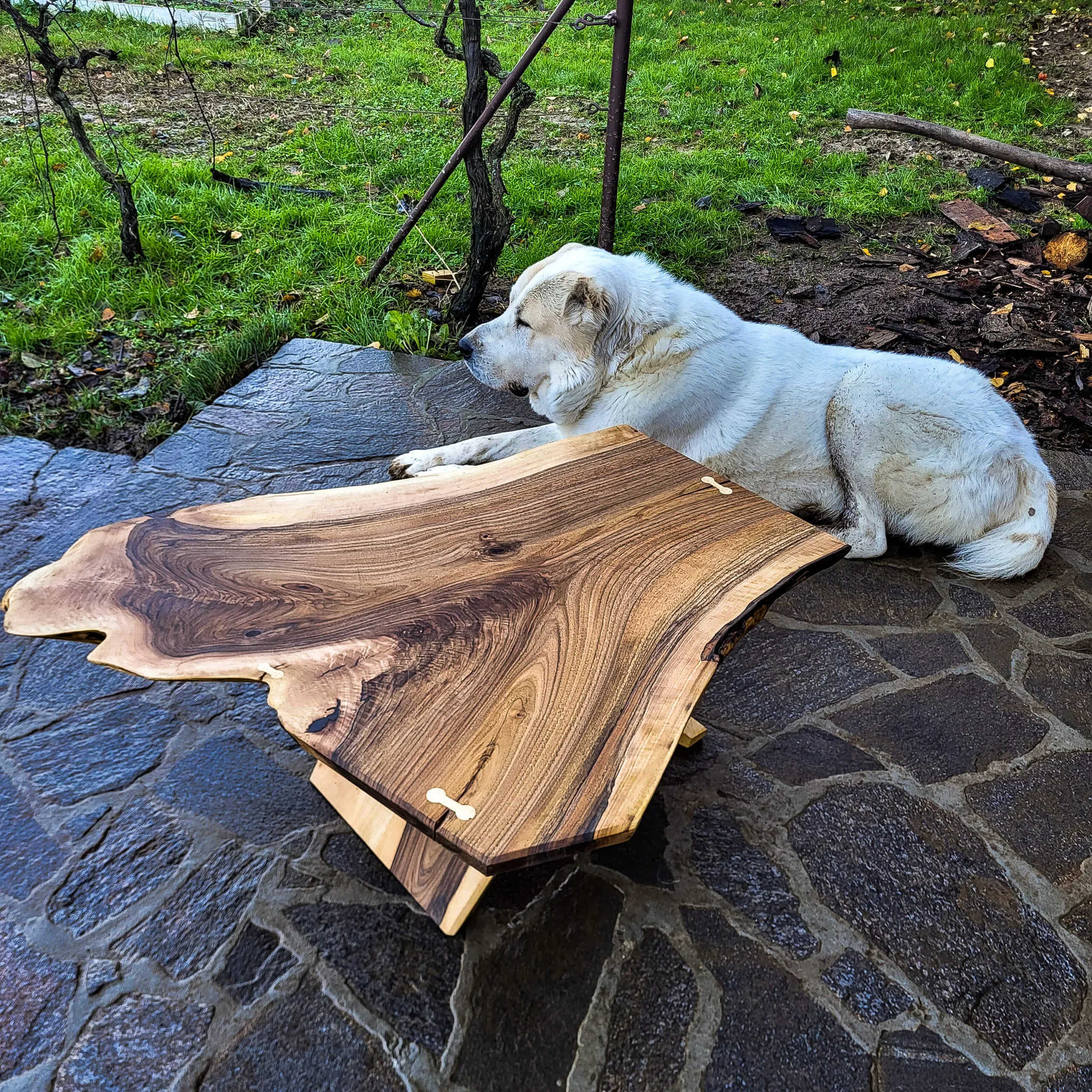 Rašljar, domaći orah, 100 x 90-50 cm 