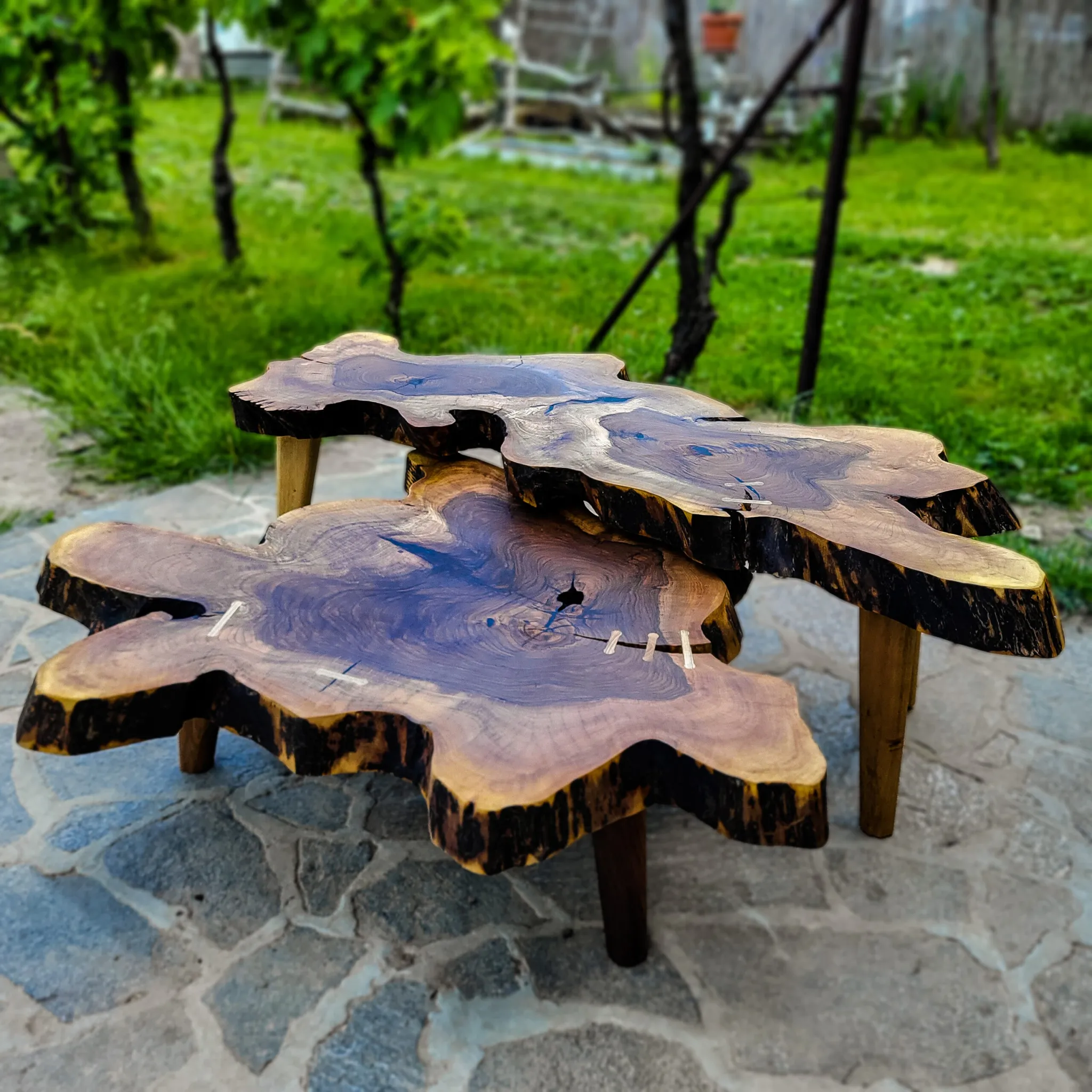 Set od orahovog koreništa