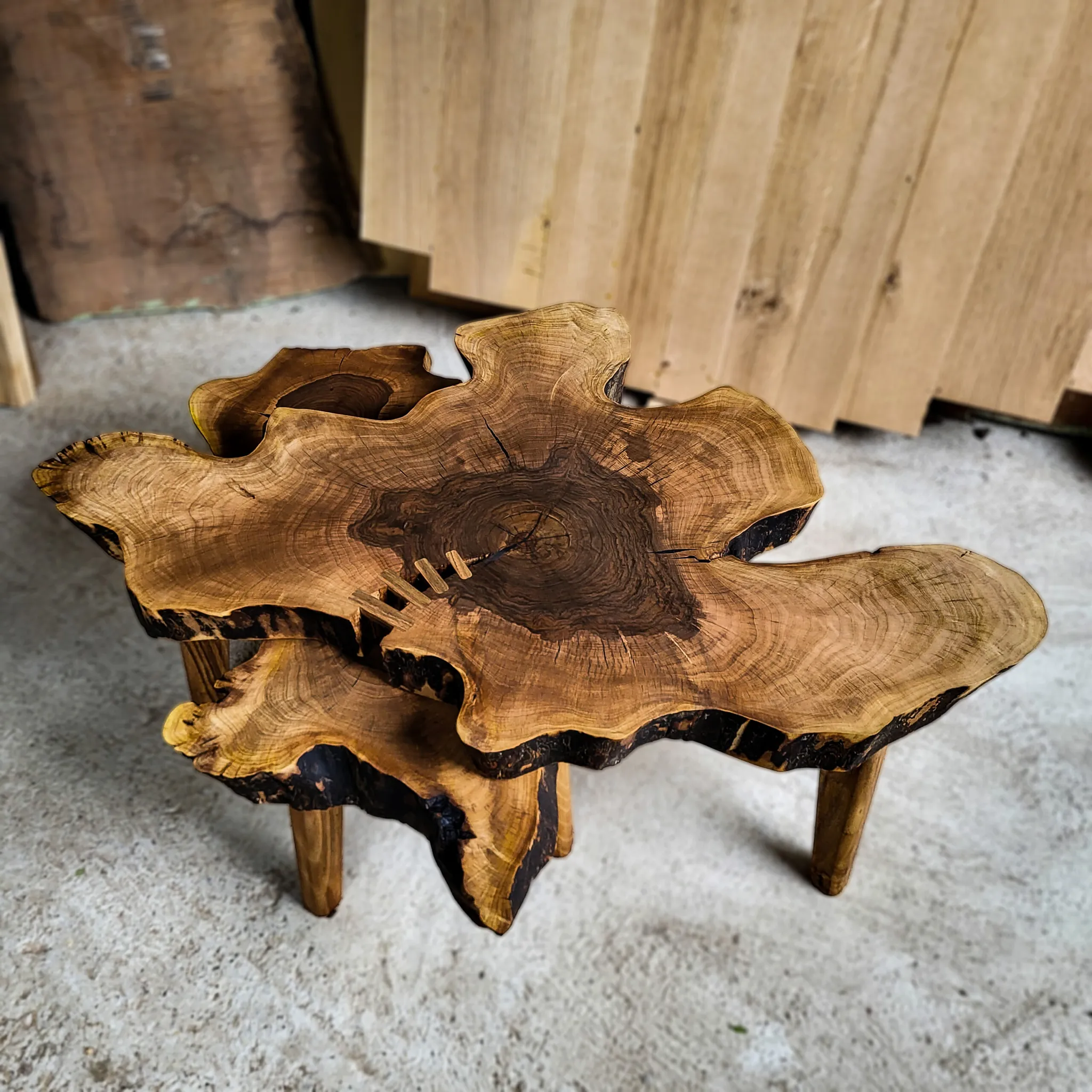 Set od orahovog koreništa