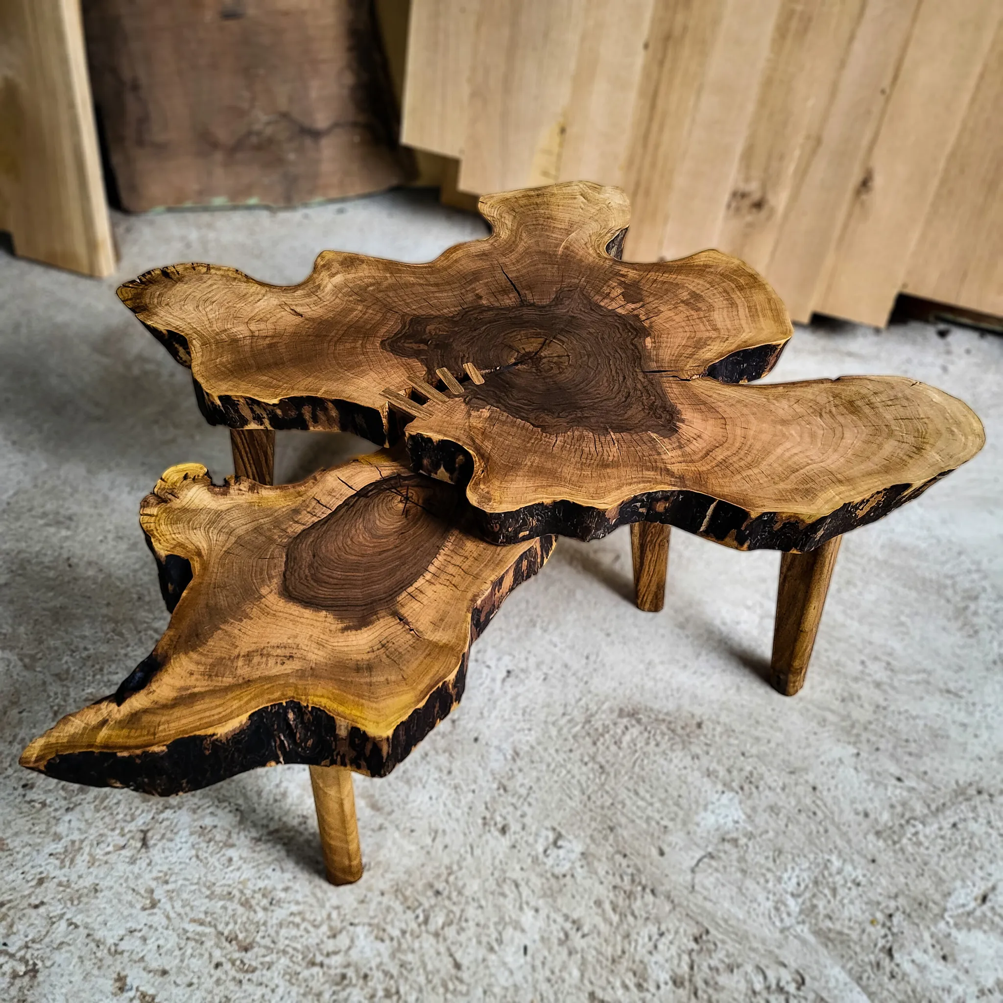 Set od orahovog koreništa