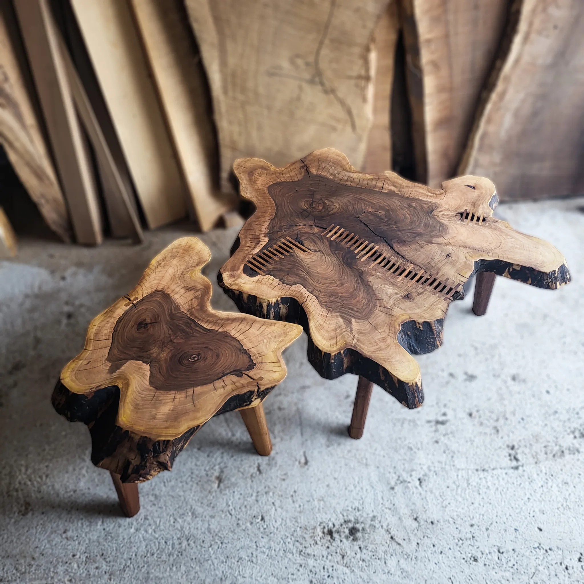 Set od orahovog koreništa