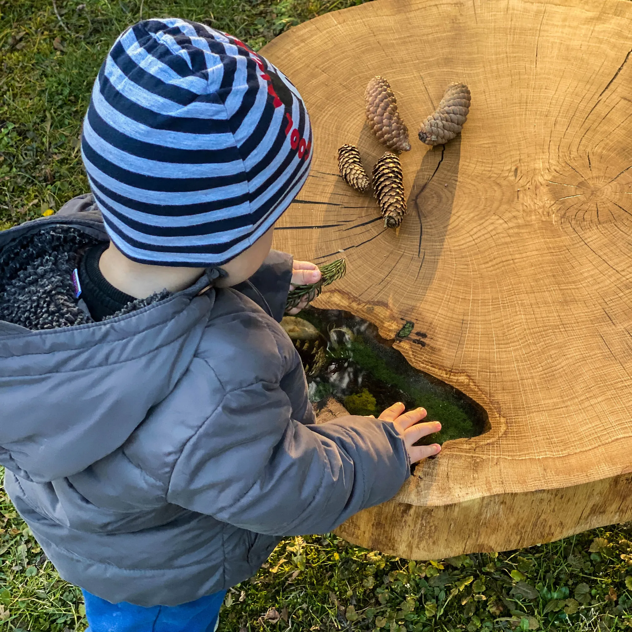 Malo dete i Šumska Rosa