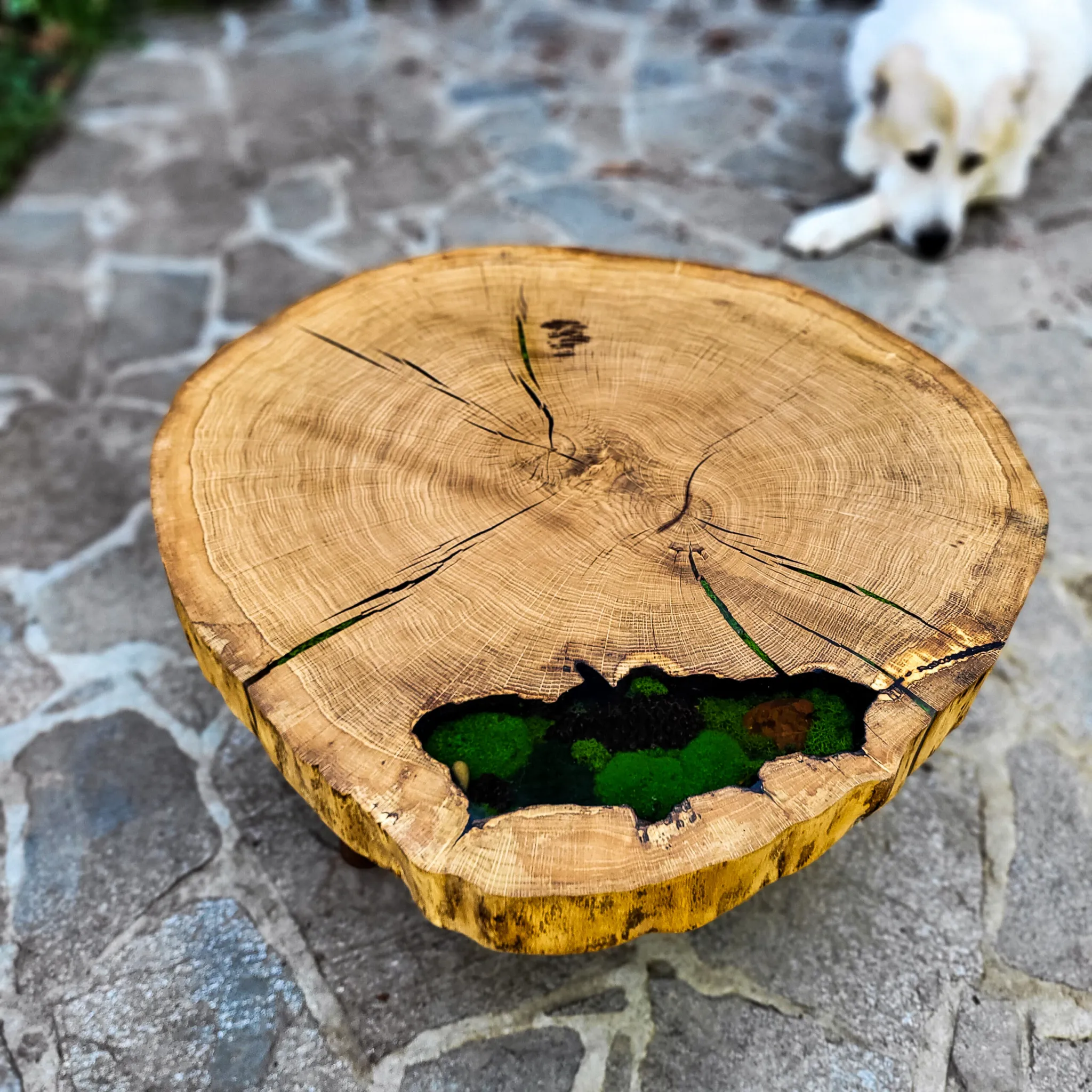 Šumska rosa, hrast end-grain, Ø 80 cm