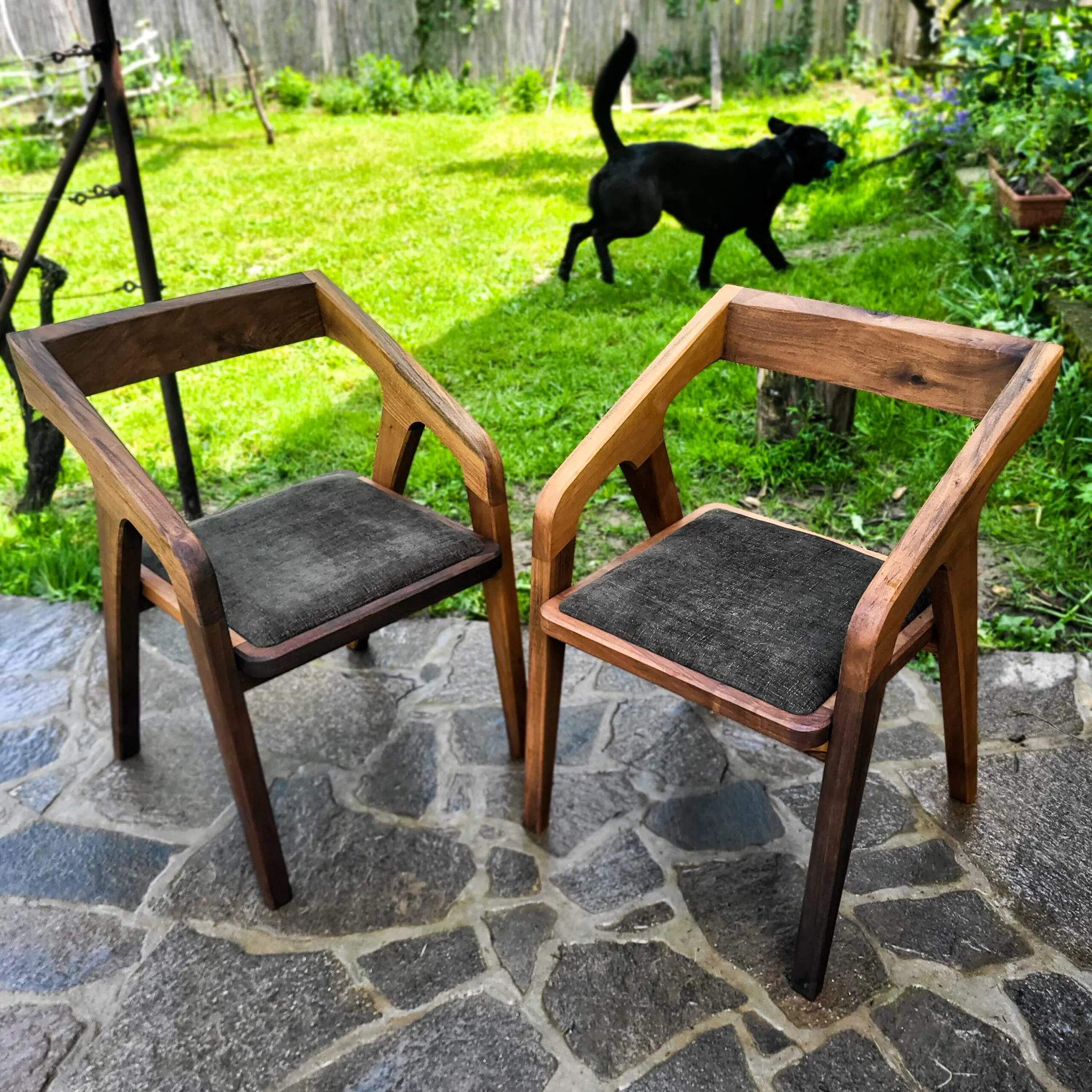 Hank 1.0 stolica, pareni orah