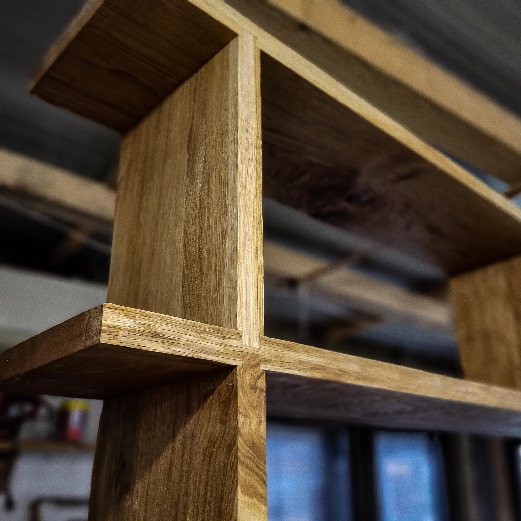 Biblioteka, hrast, 250 x 250 cm