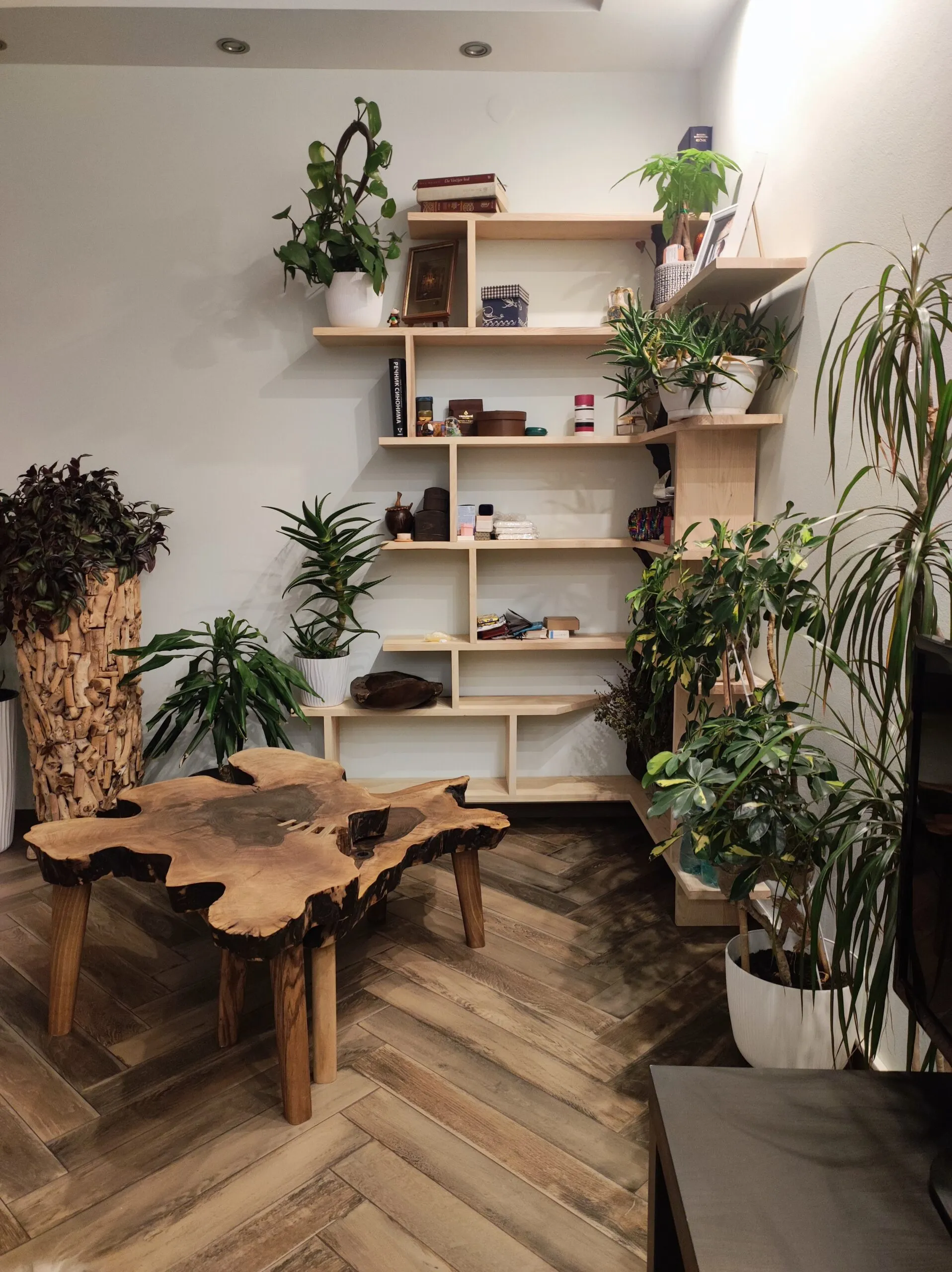 Ugaona polica, jasen