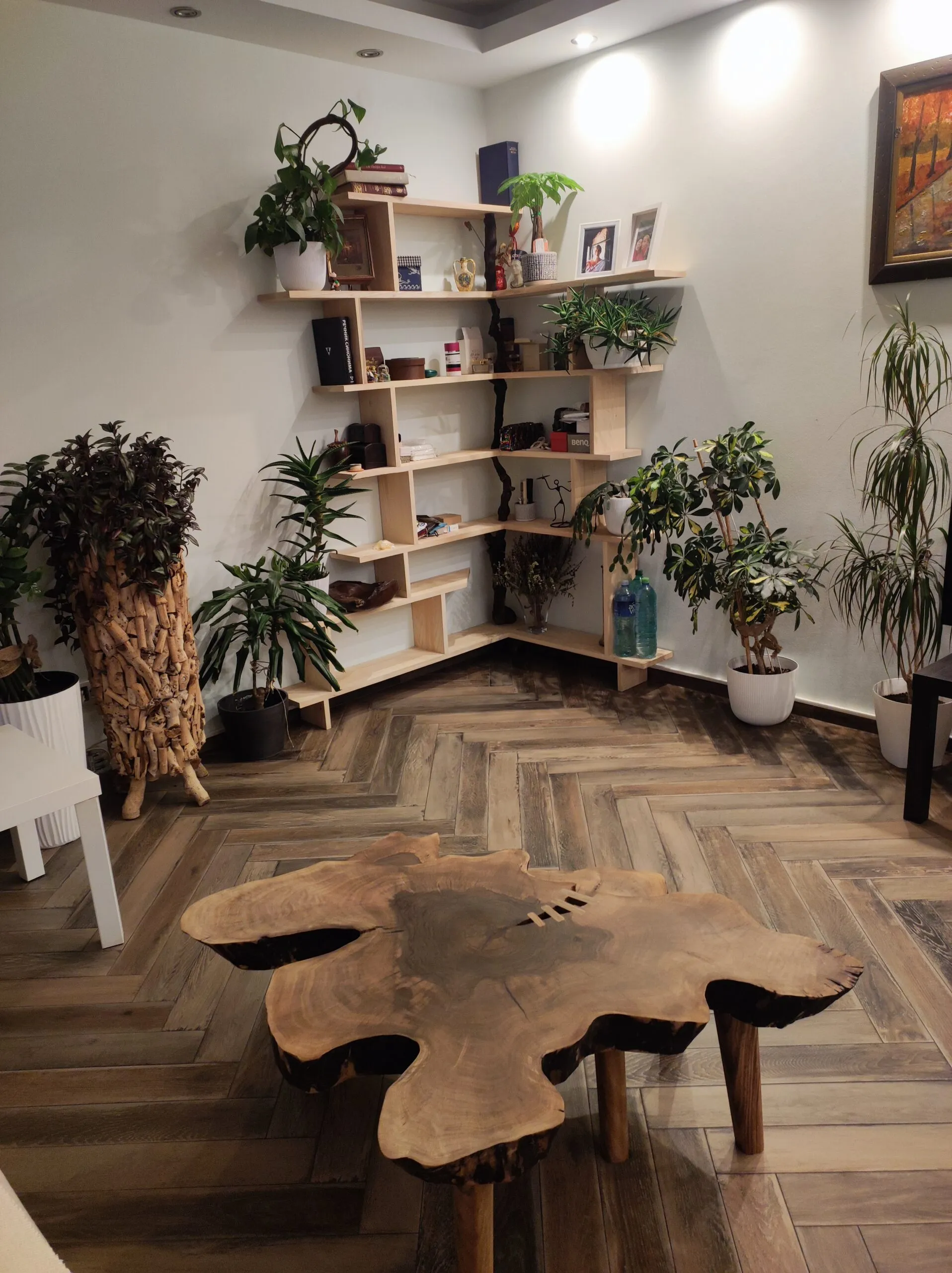 Ugaona polica od jasena i klub sto od koreništa oraha