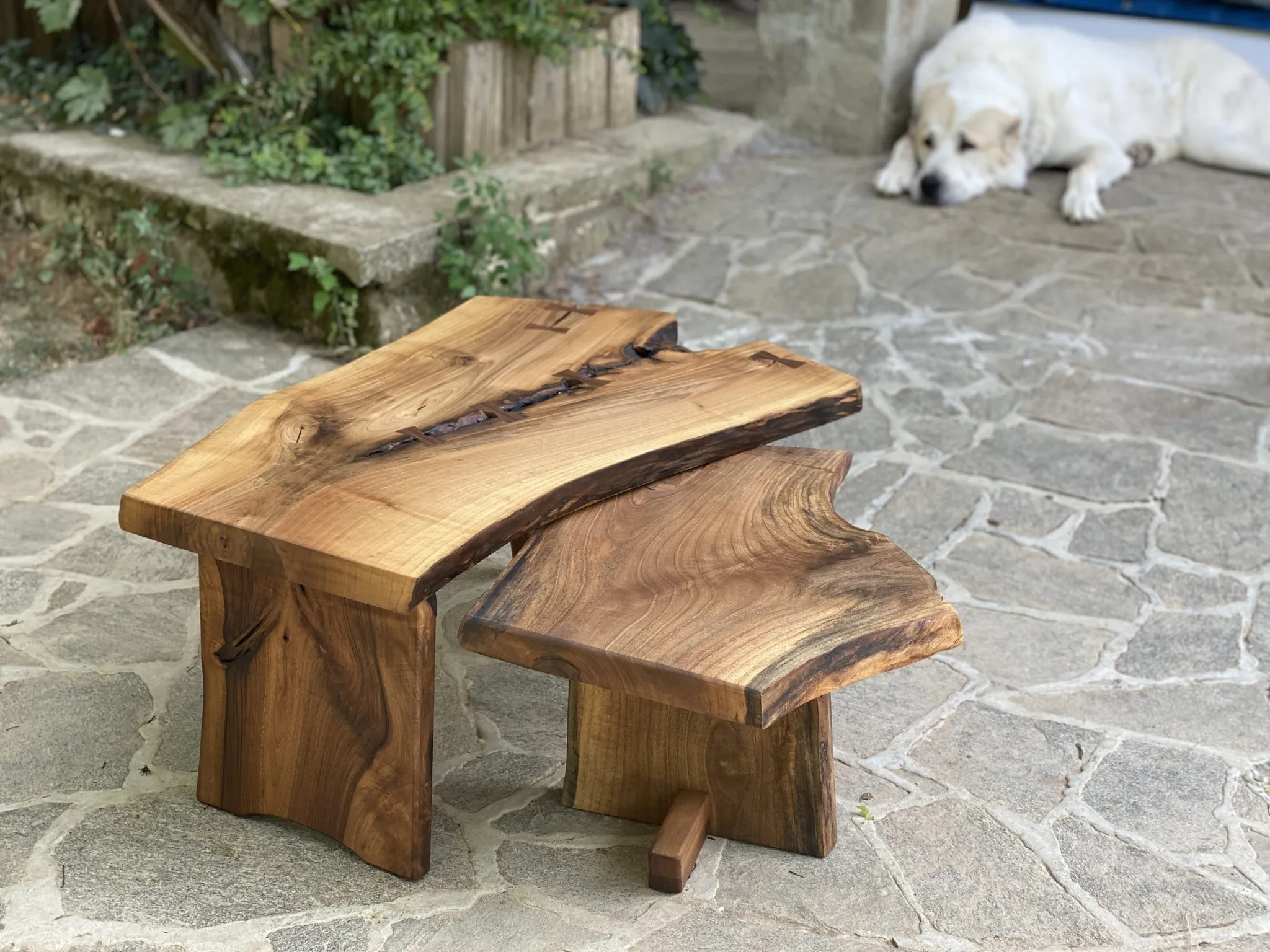 Rašljar set, domaći orah i Bonzo