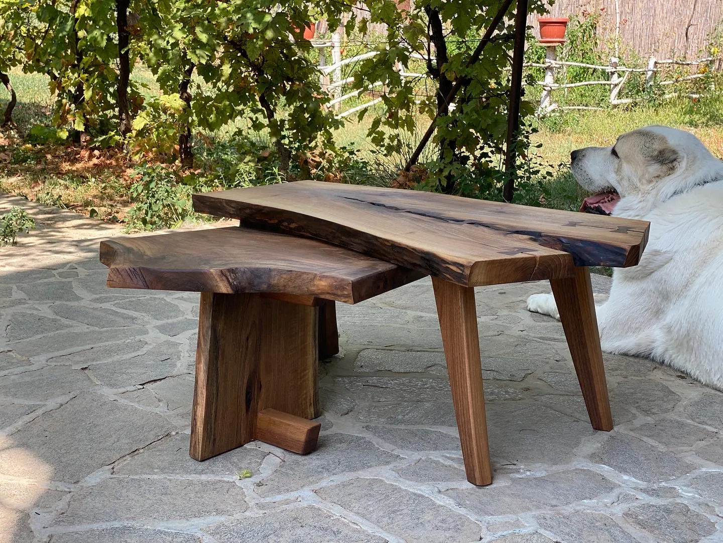 Rašljar set, domaći orah i Bonzo