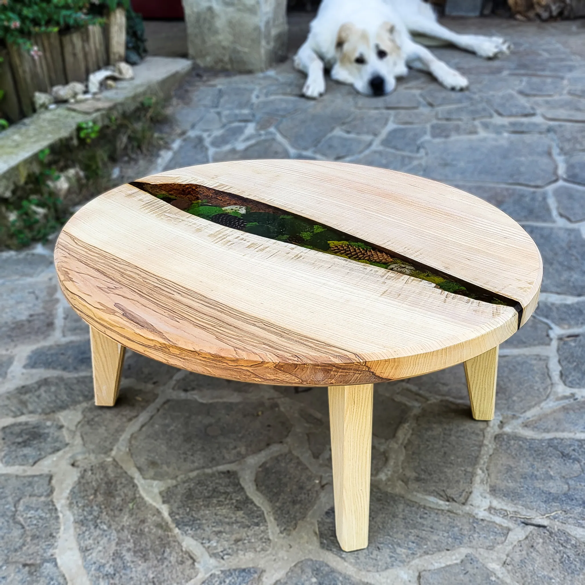 Majka Priroda, jasen, 100 x 90 cm