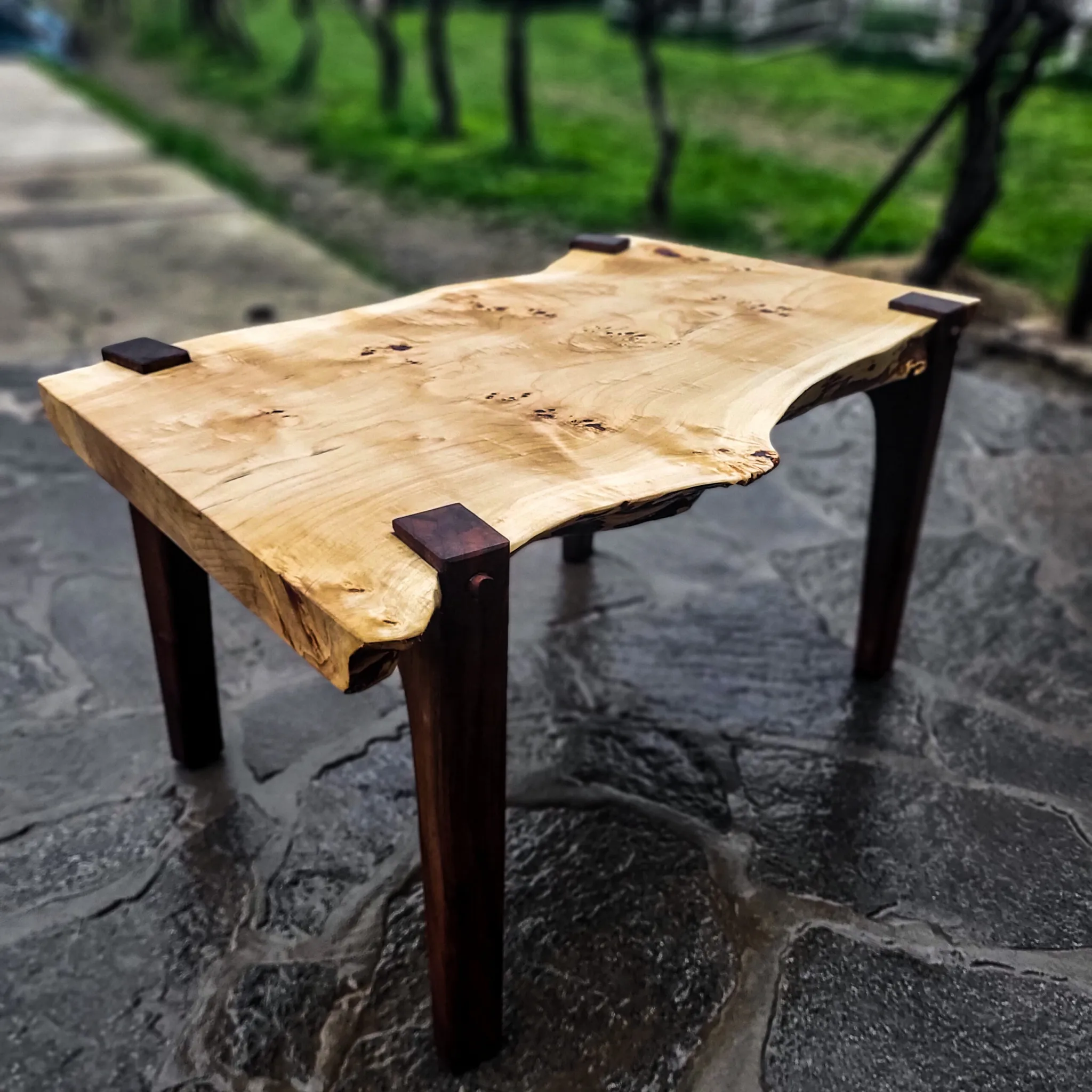 Topola i pareni orah, klub-stočić, 90 x 50 cm