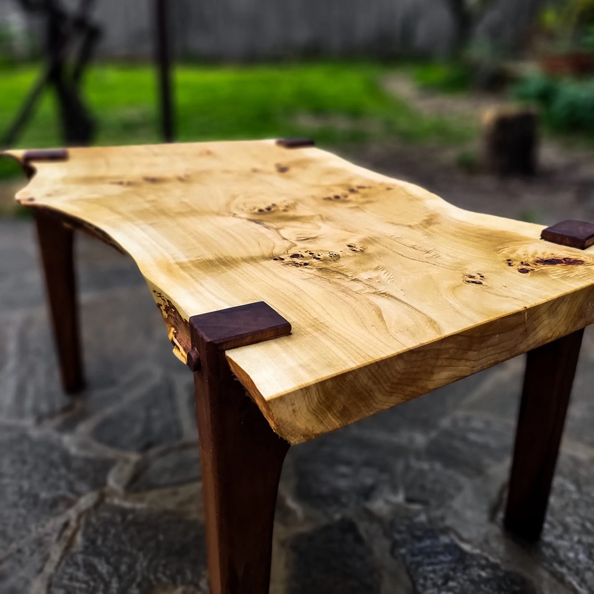 Topola i pareni orah, klub-stočić, 90 x 50 cm