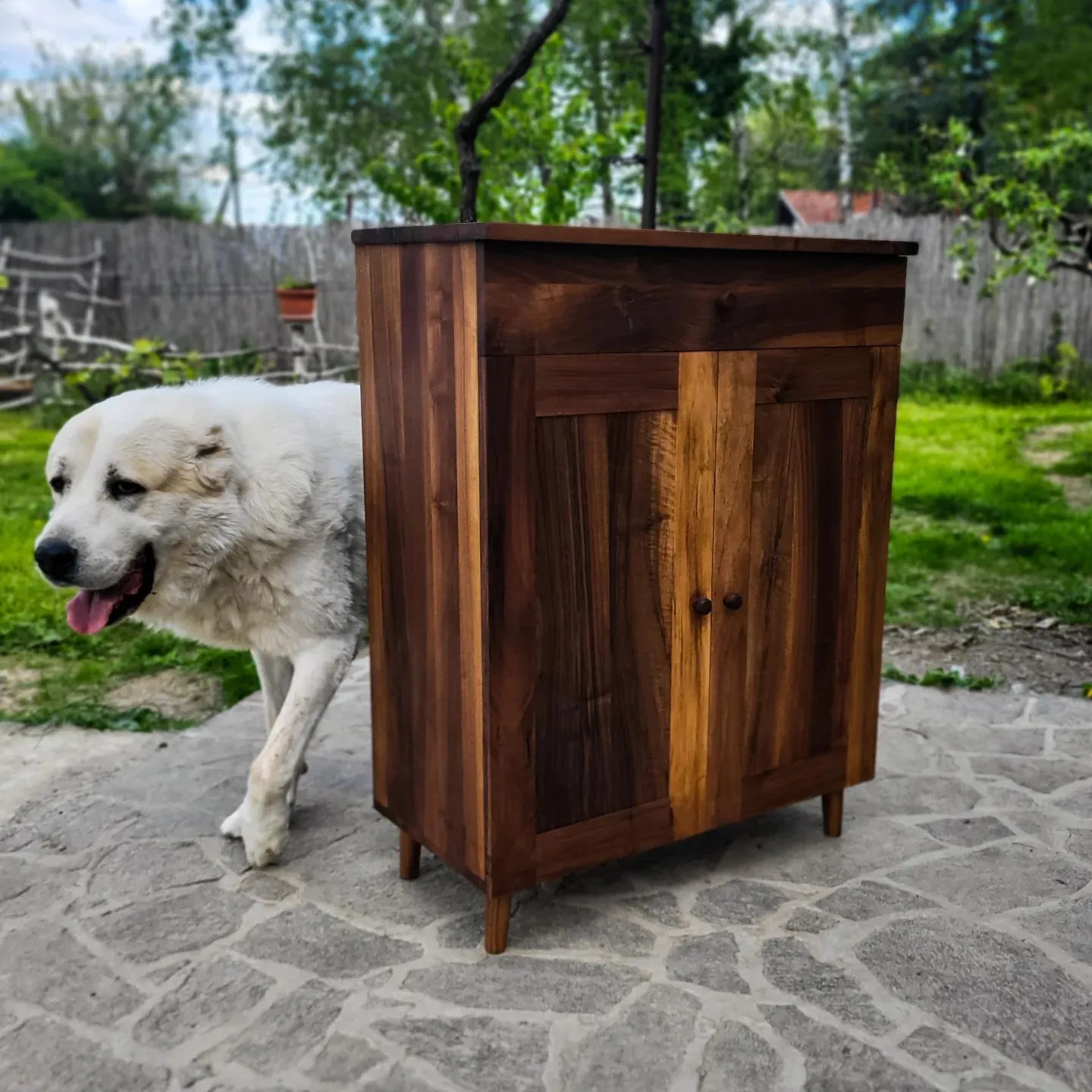 Cipelarnik, pareni orah, 80 x 106 cm