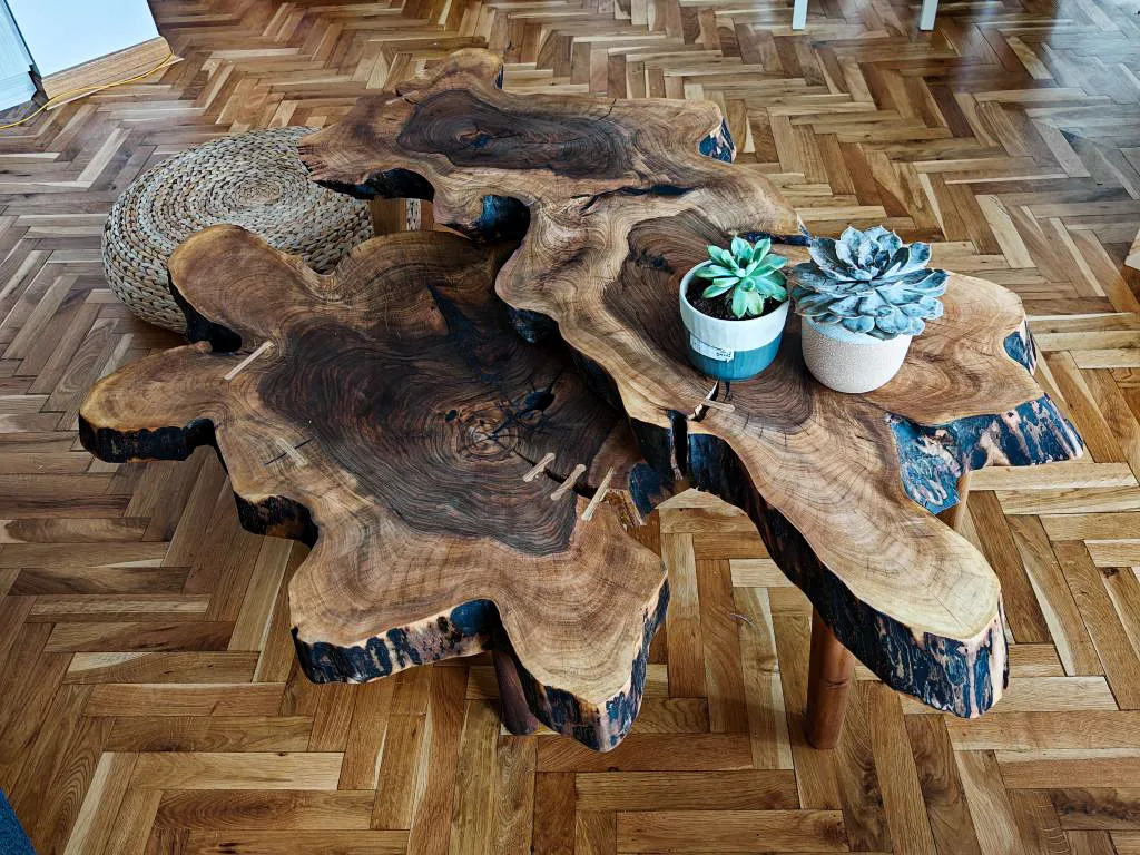 Set od orahovog koreništa