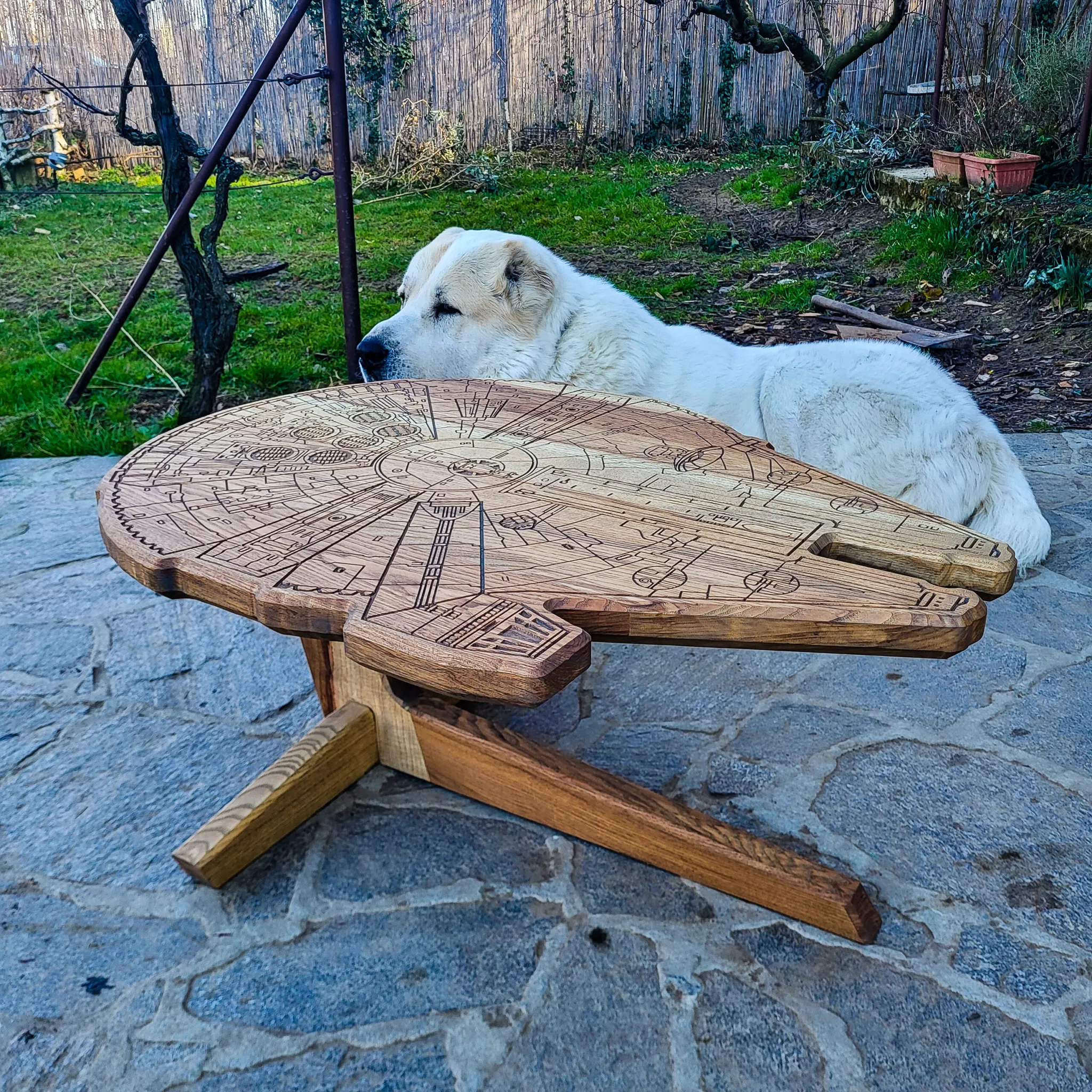 Millennium Falcon, jasen