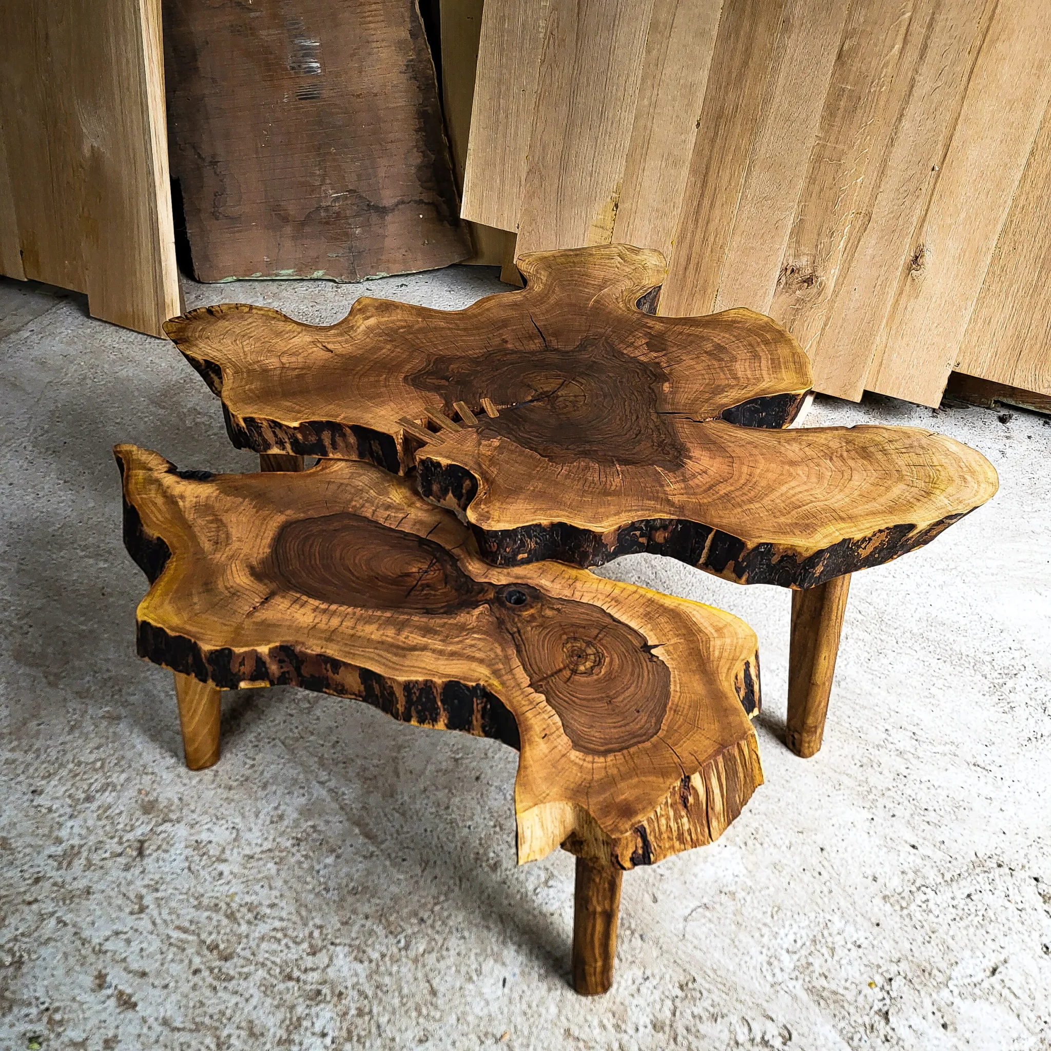 Set od orahovog koreništa