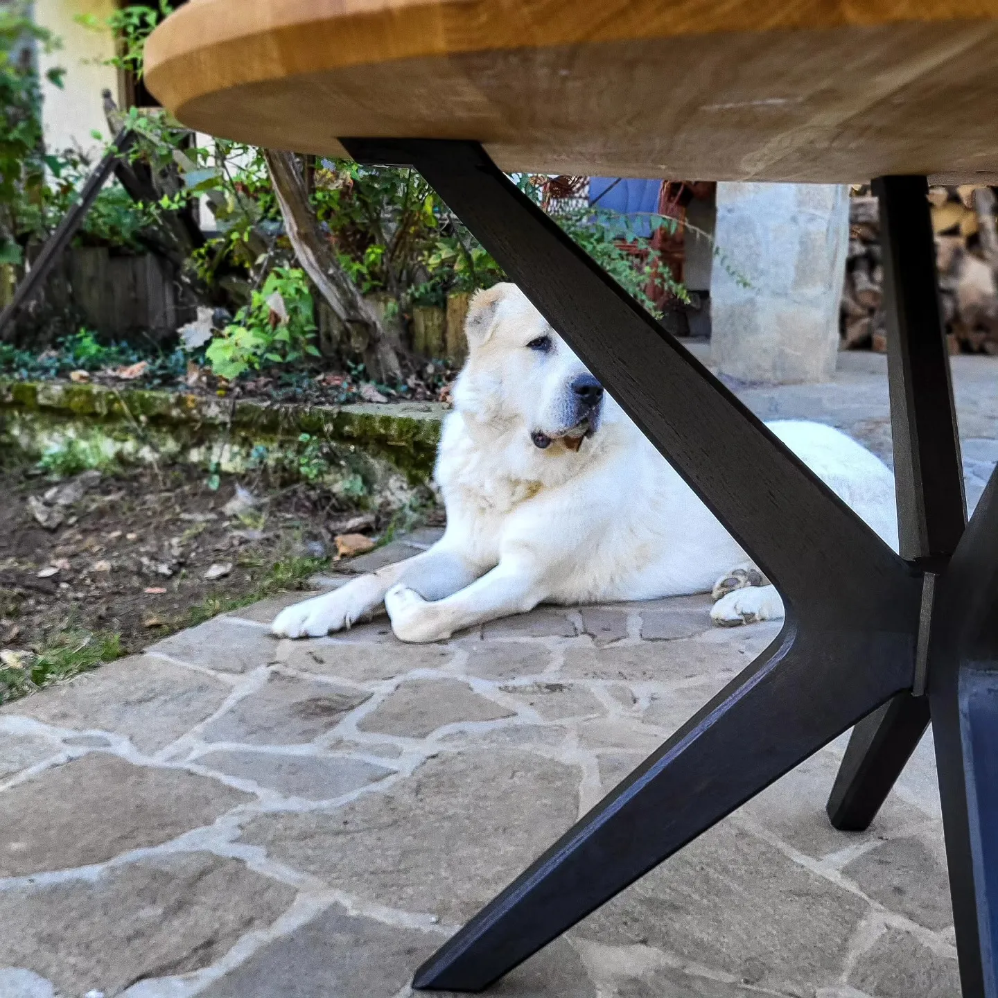 Hrast, nogare drvena zvezda, fi 120 cm