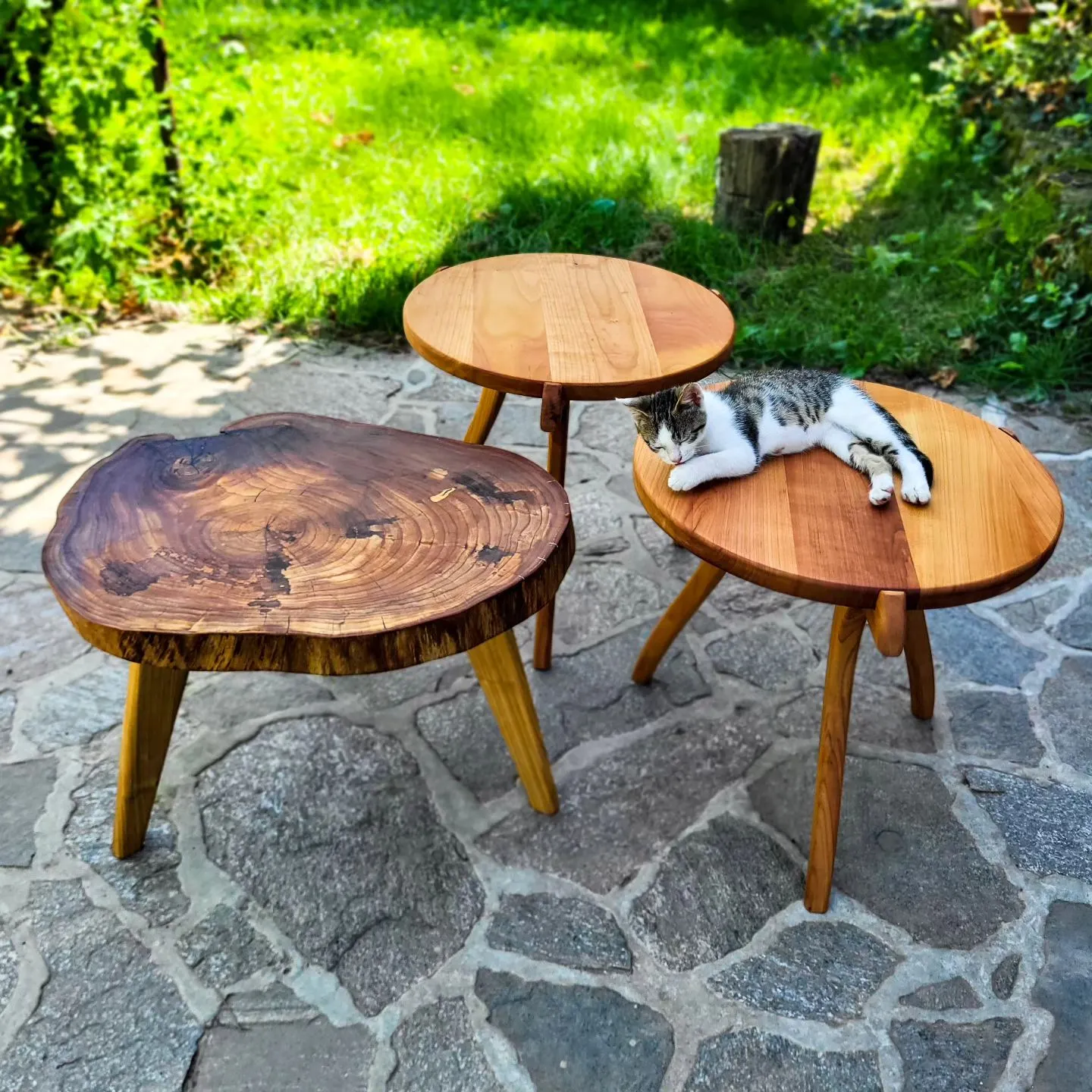 Stočići od trešnje i srebrnolisnog javora i najslađa mačka na svetu